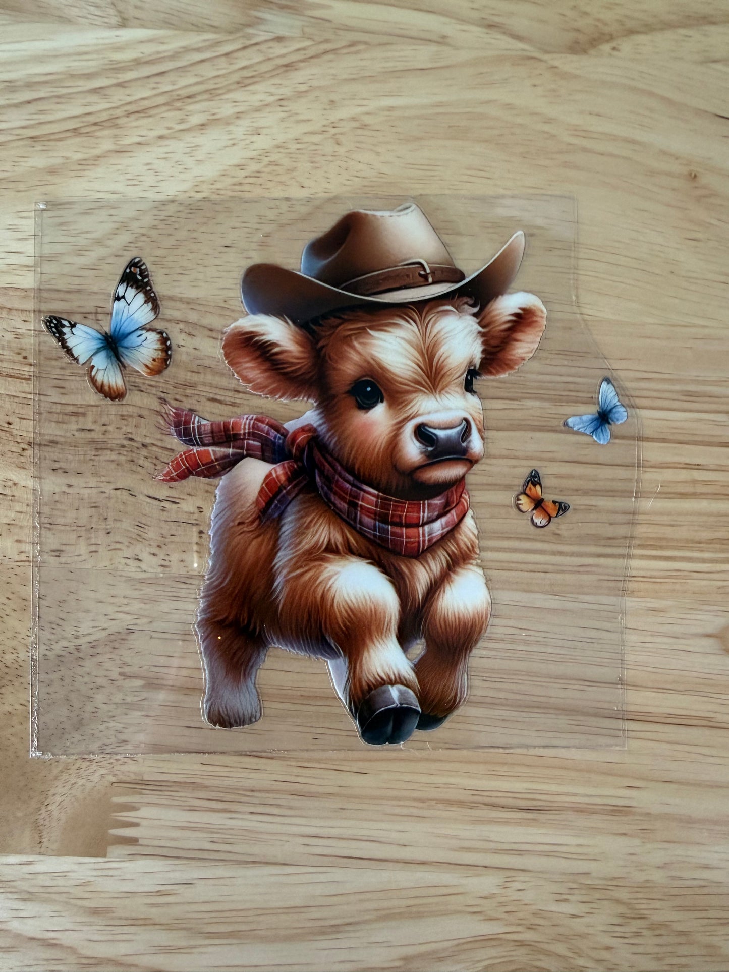 Mini Cow