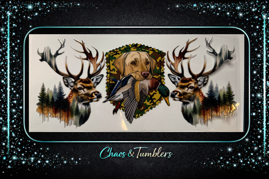 Hunting dog