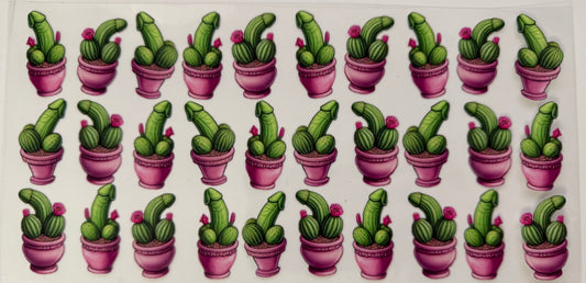 Cactus lil willys