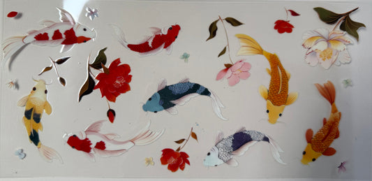 Koi fish