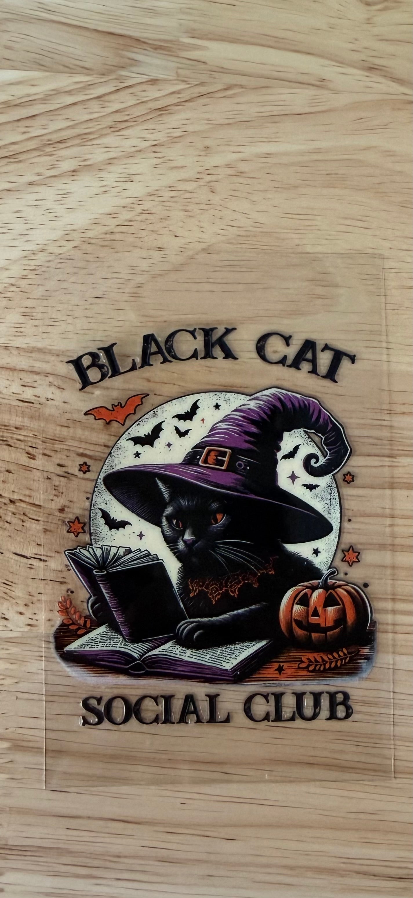 Black cat