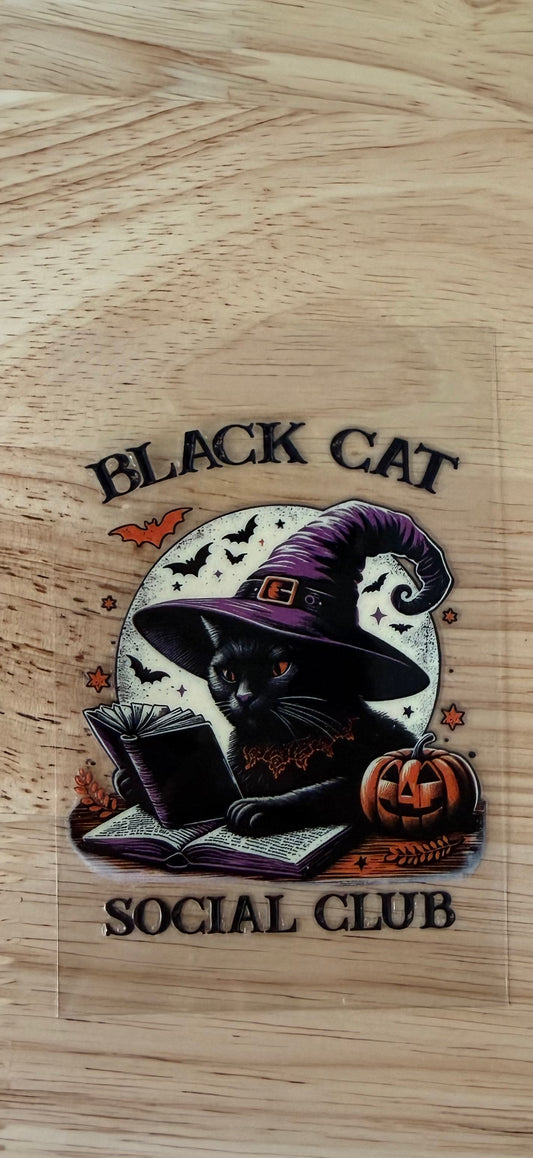 Black cat