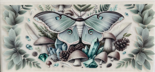 Teal beauty