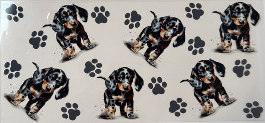 Lil dog