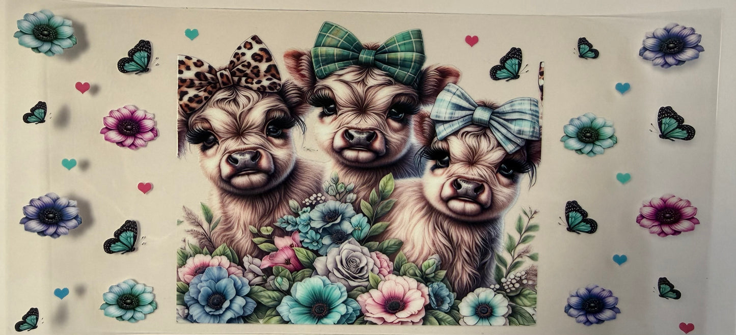 Mini cows