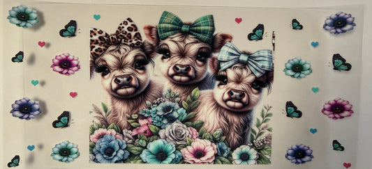 Mini cows