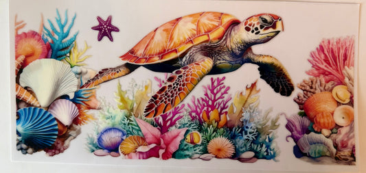 Sea turtle 2