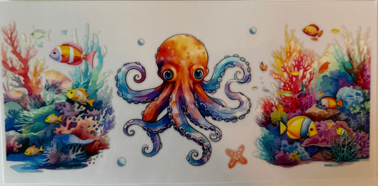 Octopus
